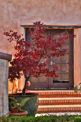 USA, California, Carmel. Inside the grounds at the Carmel Mission Basilica Museum photo