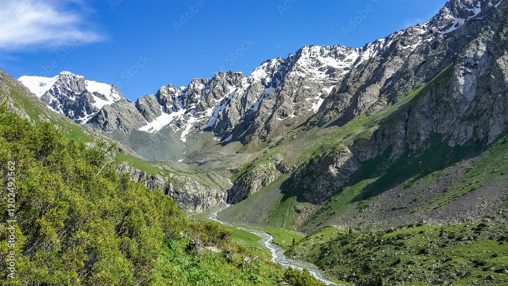 Fototapeta premium Trekking in Tian Shan mountains in south Kyrgyzstan