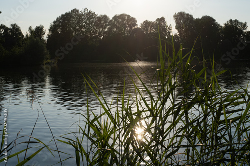 lake on sunset, reflection of sun in the water