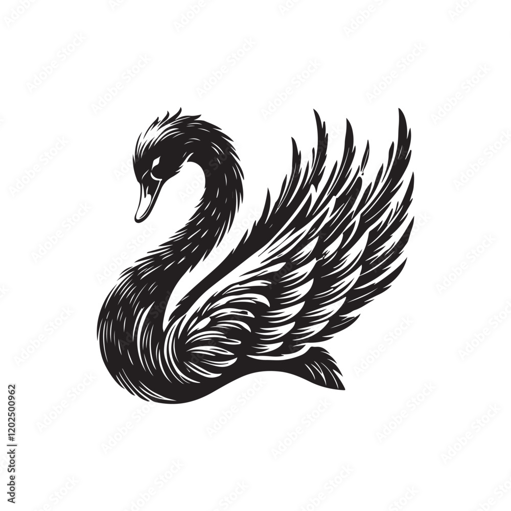 Fototapeta premium Swan on white background