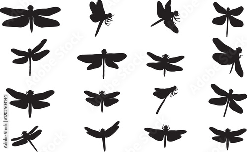 Dragonfly Silhouette
