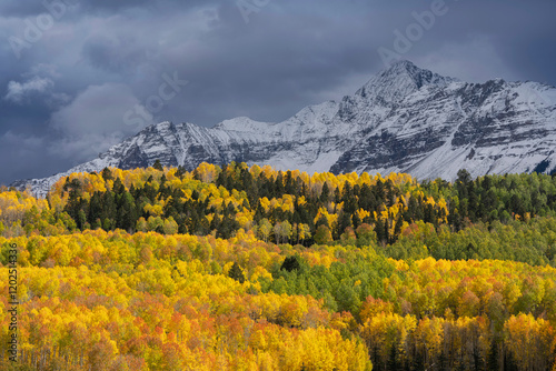 USA, Colorado, Uncompahgre National Forest. Storm clouds above Wilson Peak and autumn aspen forest. photo