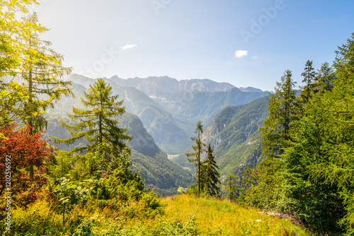 Lush green trees frame a breathtaking view of the Julian Alps during a bright summer day. The sunlight illuminates the rugged peaks and valleys, highlighting their natural beauty.