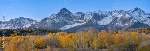 USA, Colorado, Uncompahgre National Forest. Panoramic sunset on aspen forest ...