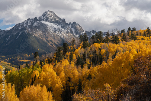 USA, Colorado, Uncompahgre National Forest. Mt Sneffels and aspen forest in autumn. photo