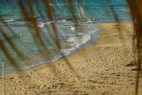 Beach Path Framed by Palm Leaves