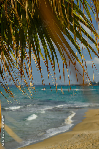 Tropical Beach with Soft Waves and Sand