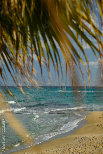 Beach View through Palm Leaves