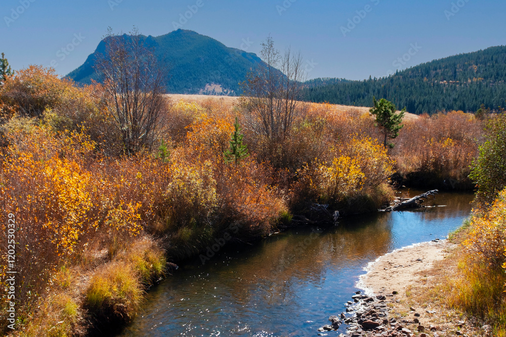 Obraz premium Rocky Mountain National Park, Colorado. Stream.