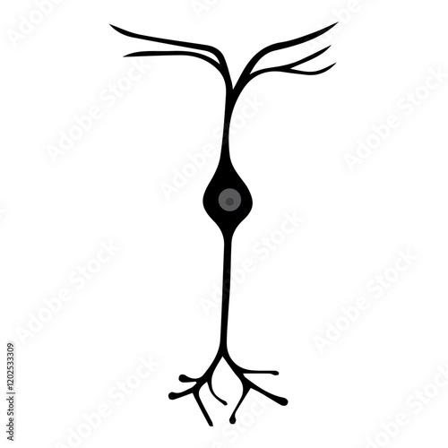 bipolar neuron glyph icon