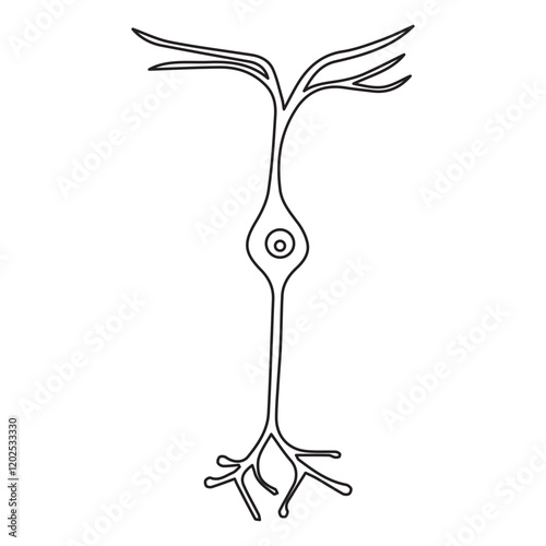 bipolar neuron line icon