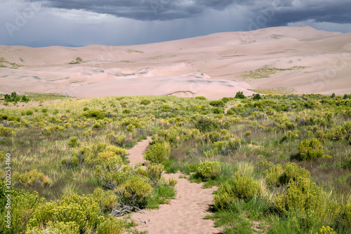 USA, Colorado. Winding path in Great Sand Dunes National Park