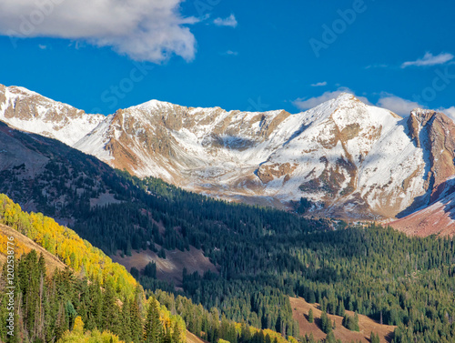 USA, Colorado, Kebler Pass. Fall foliage and Aspen trees at their peak, near Crested Butte photo
