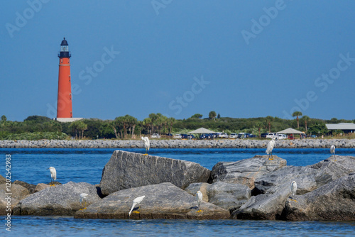 Obraz na płótnie Snowy egrets on the jetty, New Smyrna Beach, Florida, view of Ponce de Leon Inlet Lighthouse w salonie