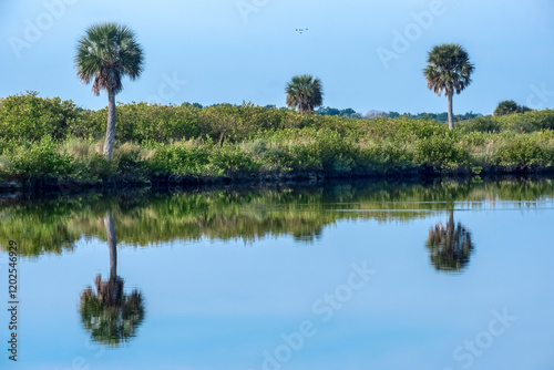 Estuary in the Merritt Island National Wildlife Refuge, Florida