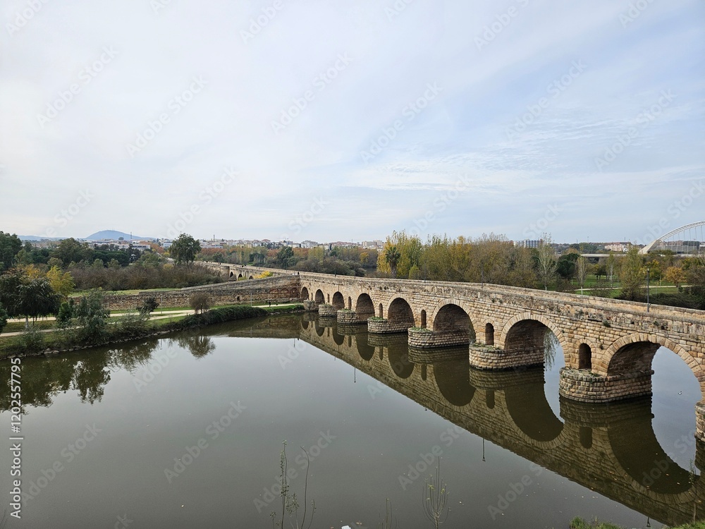 Fototapeta premium bridge over the river