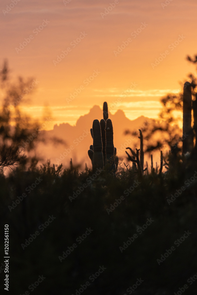 sunset in the mountains