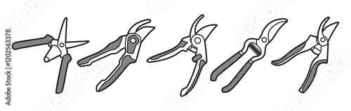 black and white image, vector, five plant shears