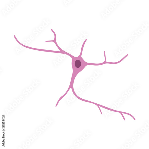 cortical neuron colored icon