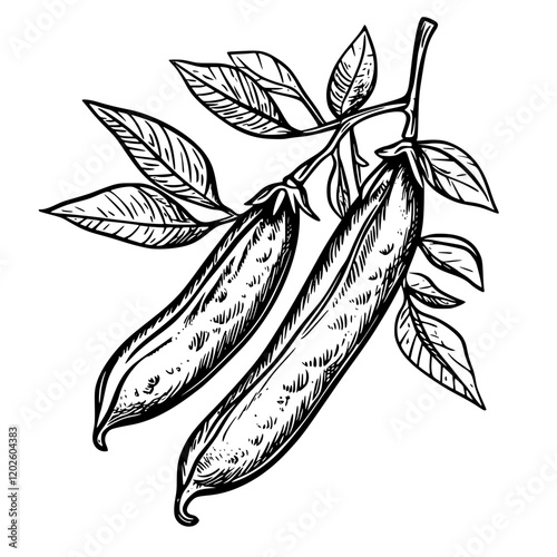 Vibrant green chili peppers dangling from their lush foliage in a garden setting filled with life and color during a sunny afternoon