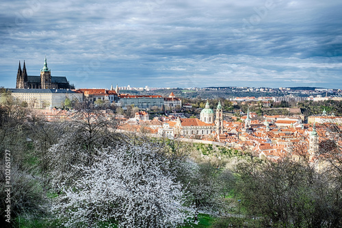 View Of Hradcany And Mala Strana From Petrin Park photo