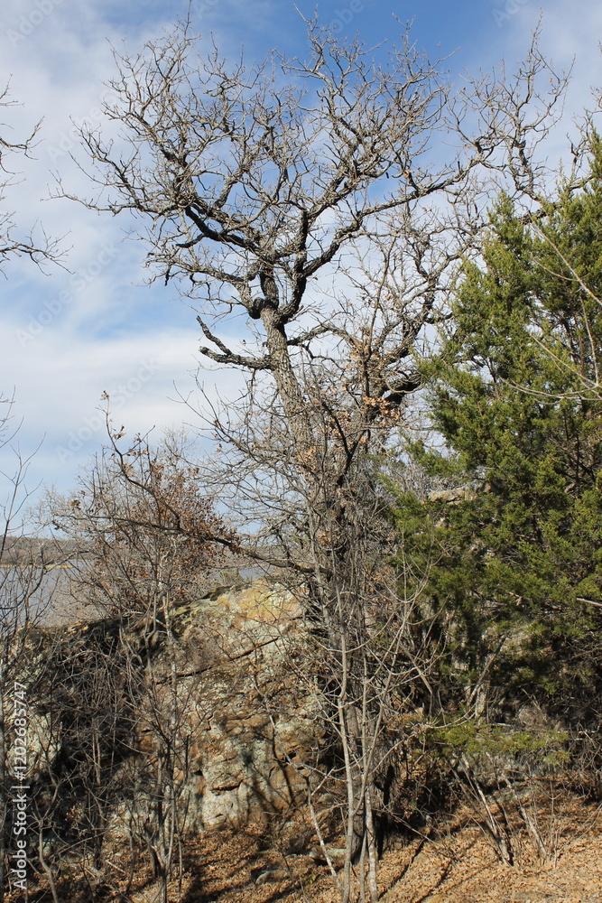  Mineral Wells State Park