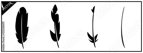 set of bird feather silhouettes. isolated on white background. vector illustration.