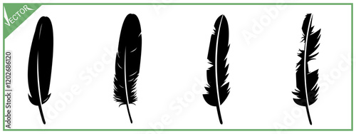 bird feather silhouette. vector illustration.