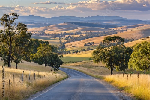 Road in the foothills of the steppes on nature background