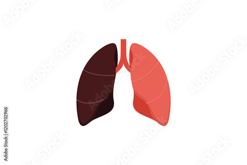 A visual representation of healthy and diseased lungs. flat style illustration vector