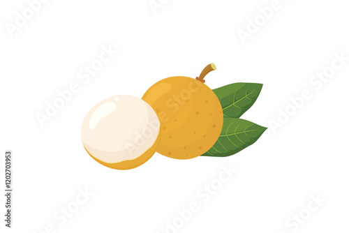 A whole and half longan fruit with leaves. longan fruit illustration in flat style vector
