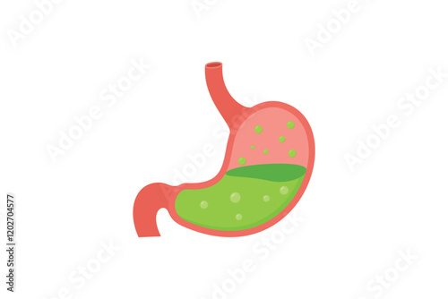 Illustration of a human stomach with green liquid. flat vector style stomach illustration