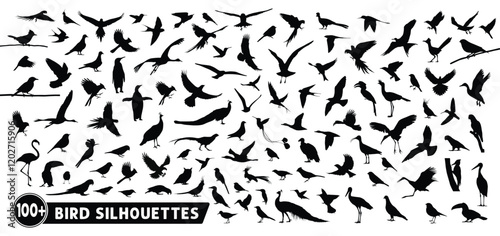 Bird silhouette vector collection. 100+ Bird silhouette bundle. Set of various bird breed silhouettes, vectors, illustrations, icons, and graphic elements, isolated on white background