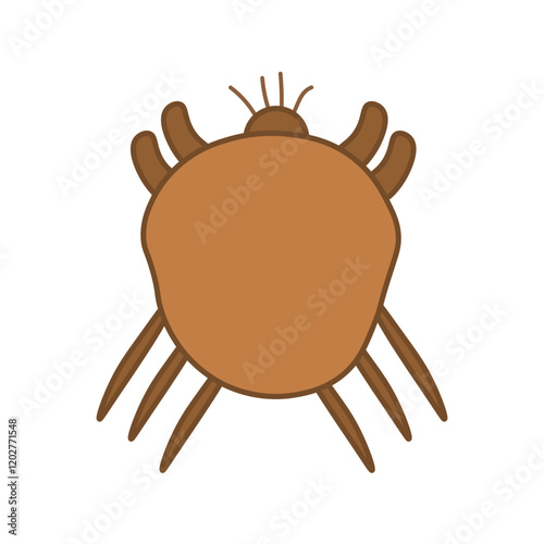 sarcoptes scabiei
