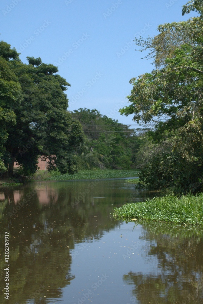 La naturaleza en el estado Miranda,muchisimos arboles centenarios y muchos rios que lo hacen un estado muy verde. La naturaleza en el estado Miranda,muchisimos arboles centenarios y muchos rios que lo hacen un estado muy verde.