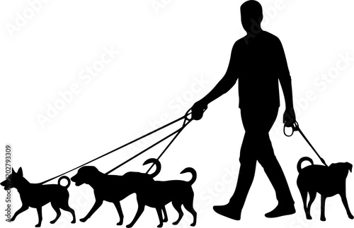 Male dog walker sitter walking with group of pets silhouette vector graphic. EPS 10 version.