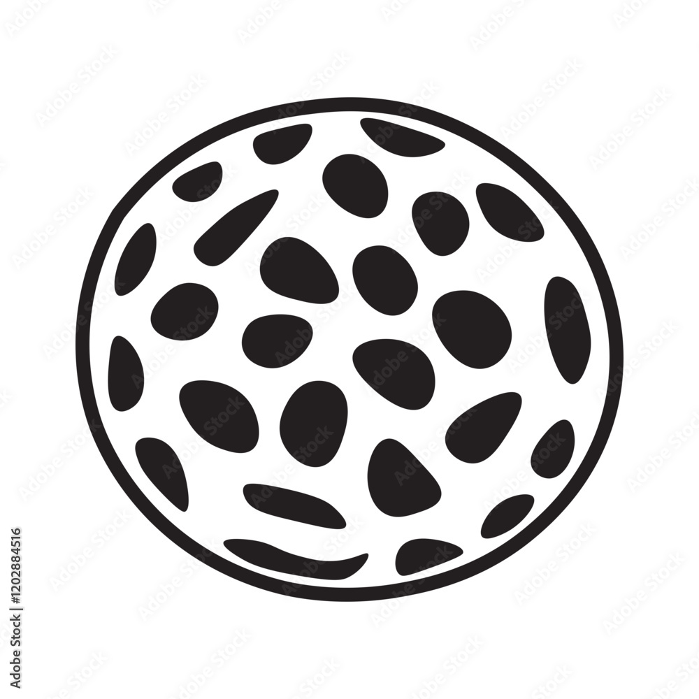 custom made wallpaper toronto digitalThalassiosira sp line icon