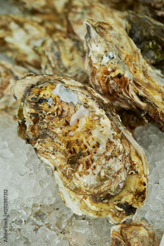 Fresh oysters at the traditional market