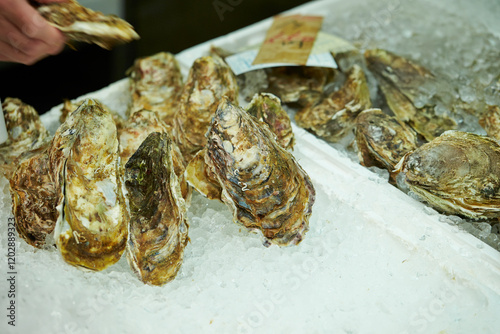 Fresh oysters at the traditional market