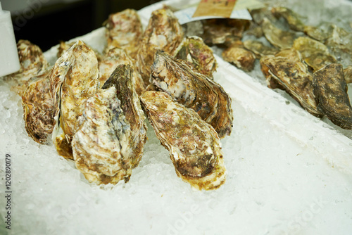 Fresh oysters at the traditional market