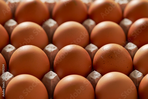 eggs in a carton