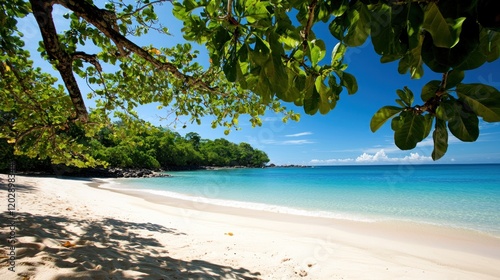 Tranquil Tropical Beach Scene