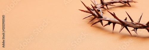  briar crown of thorns isolated on solid background 