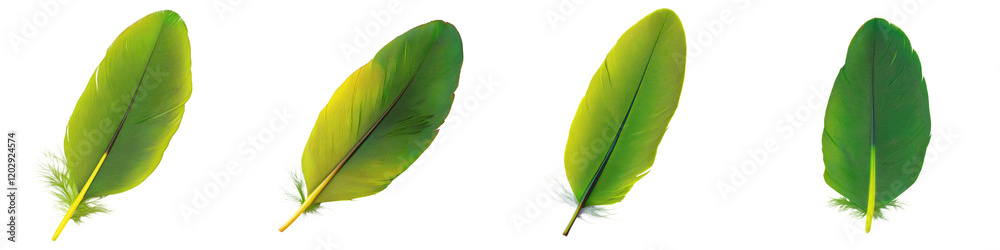 This image showcases a close up macro view of vibrant lush green leaves in a natural studio setup The leaves display intricate textures patterns and the beautiful colors of botanical foliage This image showcases a close up macro view of vibrant lush green leaves in a natural studio setup The leaves display intricate textures patterns and the beautiful colors of botanical foliage
