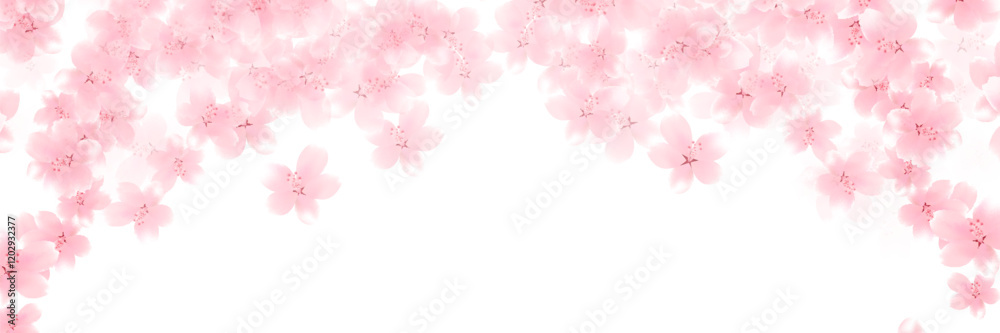 桜 和柄 水彩 背景 桜 和柄 水彩 背景