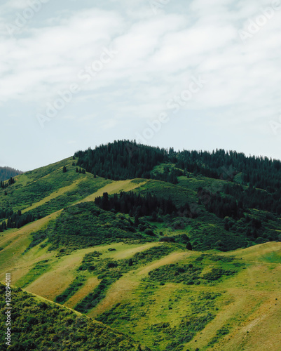 landscape with green hills and blue sky