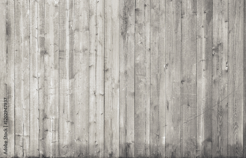 Obraz premium Old grey wood texture background