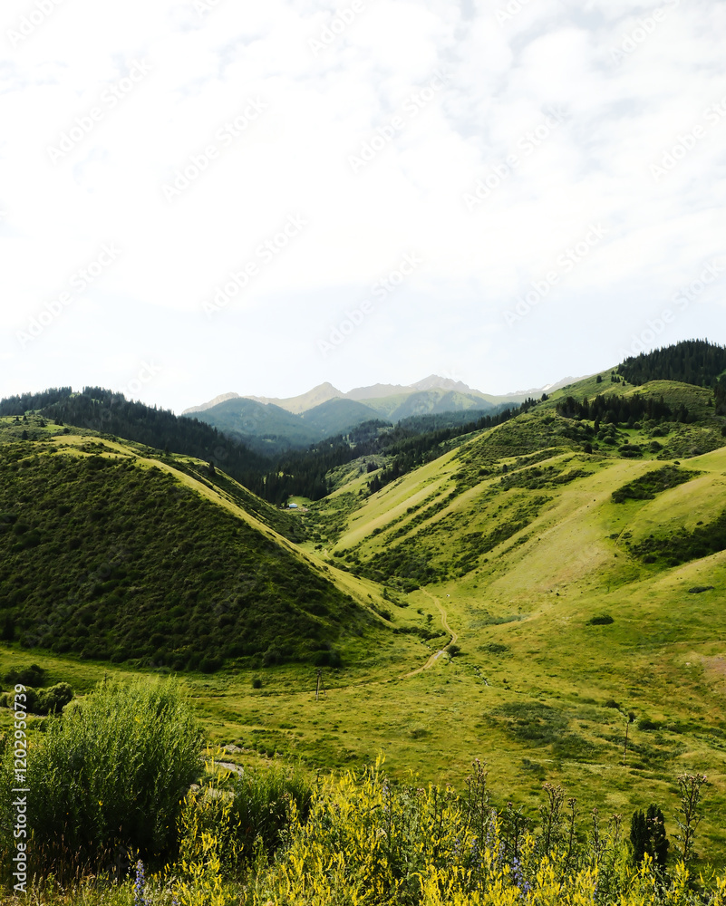 Naklejka premium landscape in the mountains