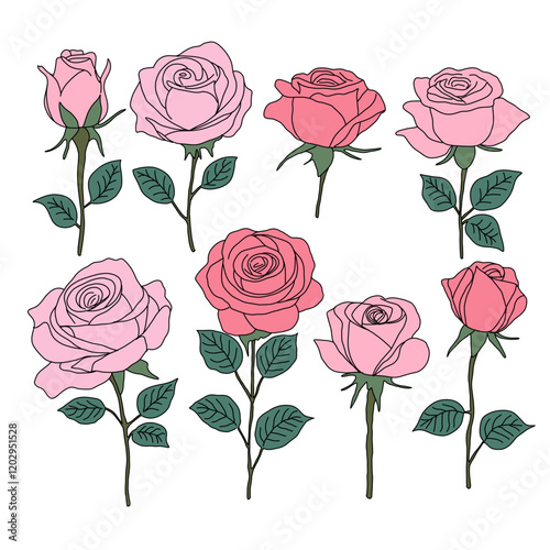 Set of Simple Pink Roses Illustration On a White Background
