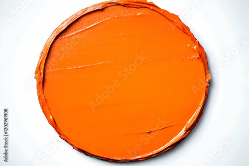 Vibrant Orange Paint Swatch...